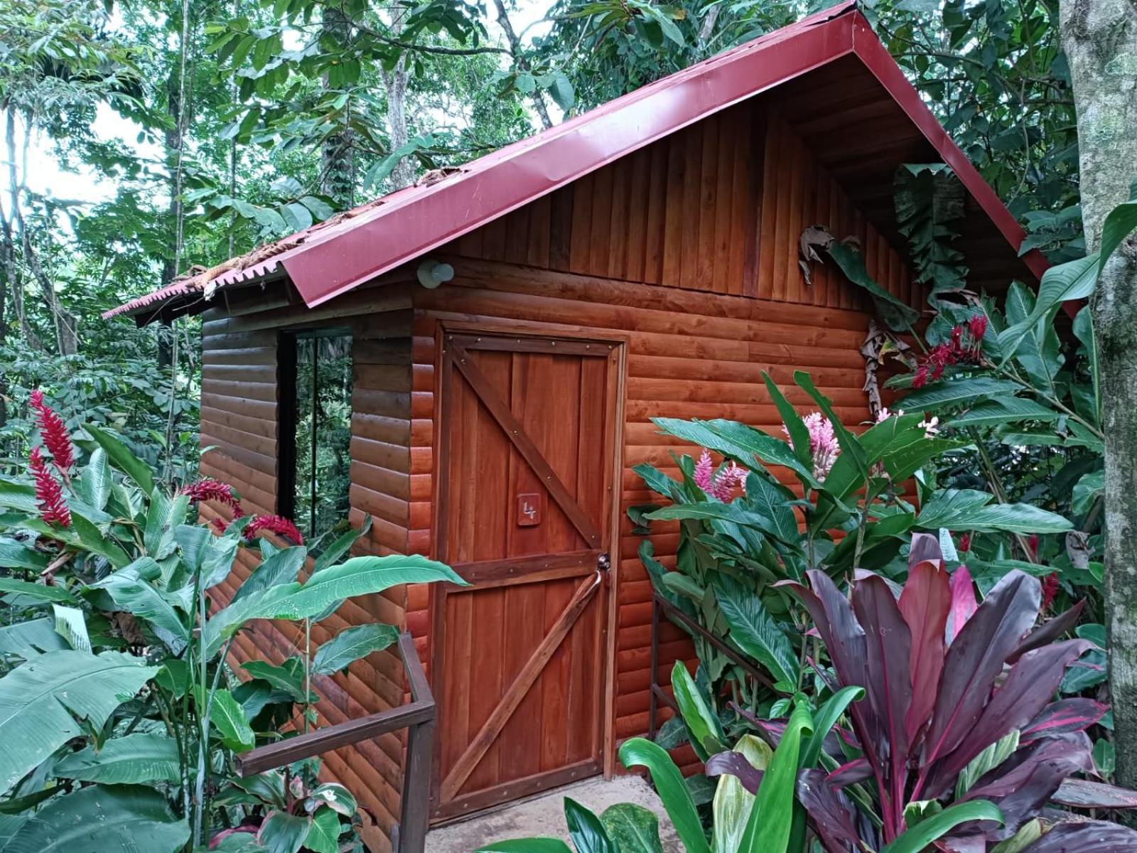 Arenal Rustic Lodge La Fortuna Exteriör bild