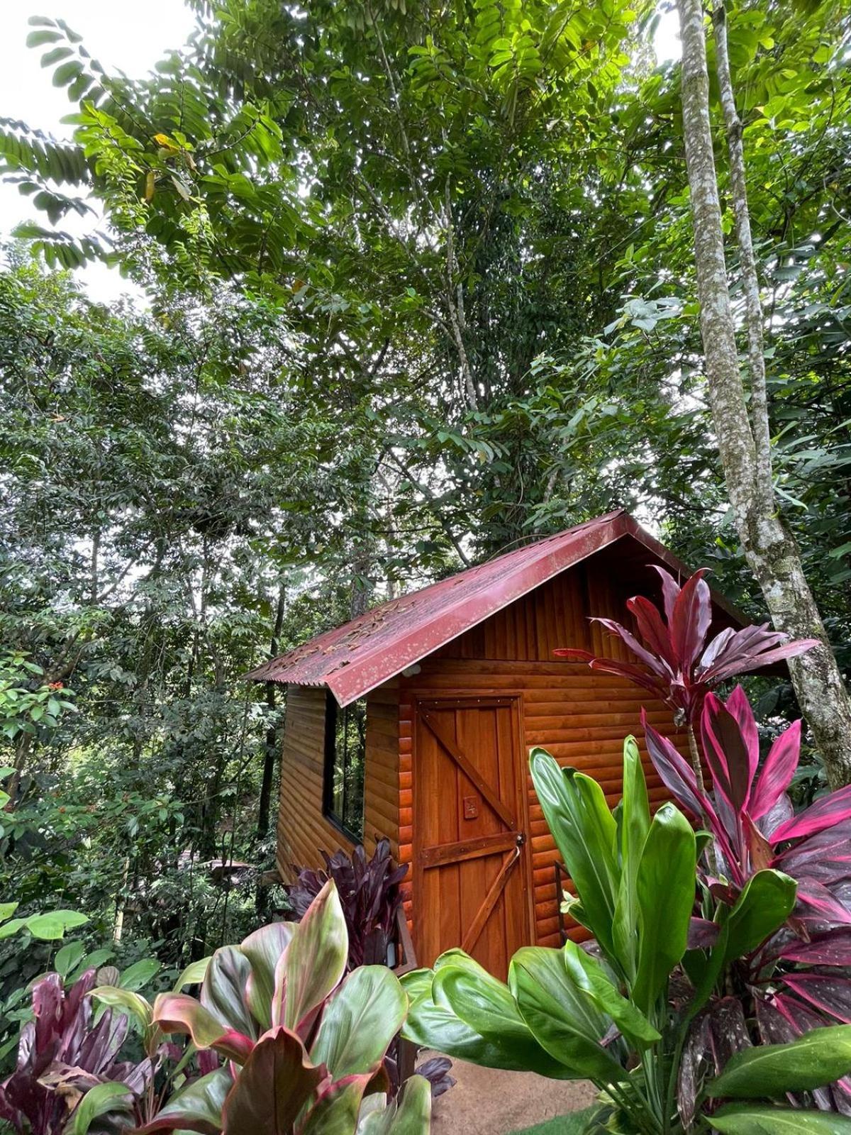 Arenal Rustic Lodge La Fortuna Exteriör bild