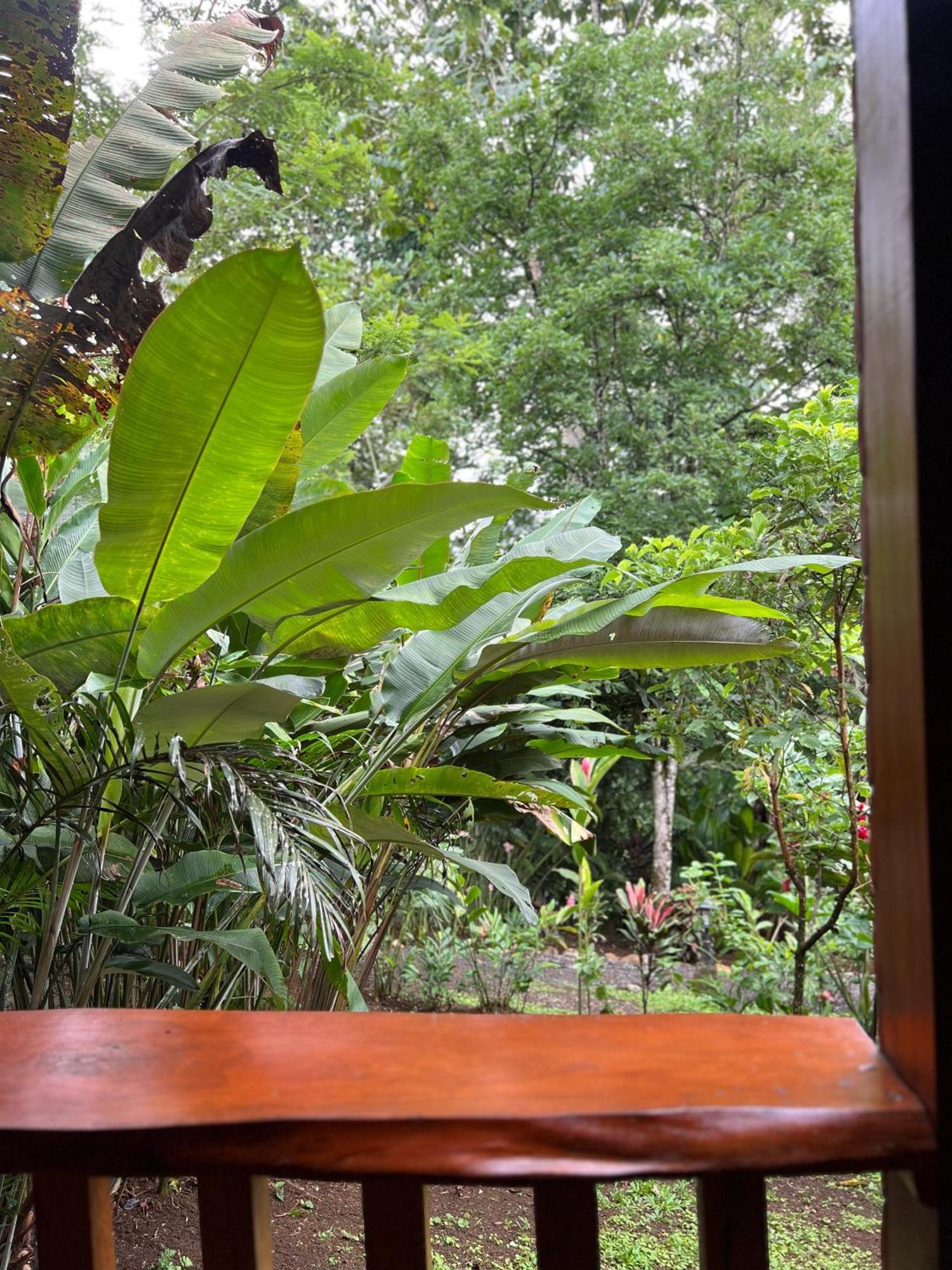 Arenal Rustic Lodge La Fortuna Exteriör bild