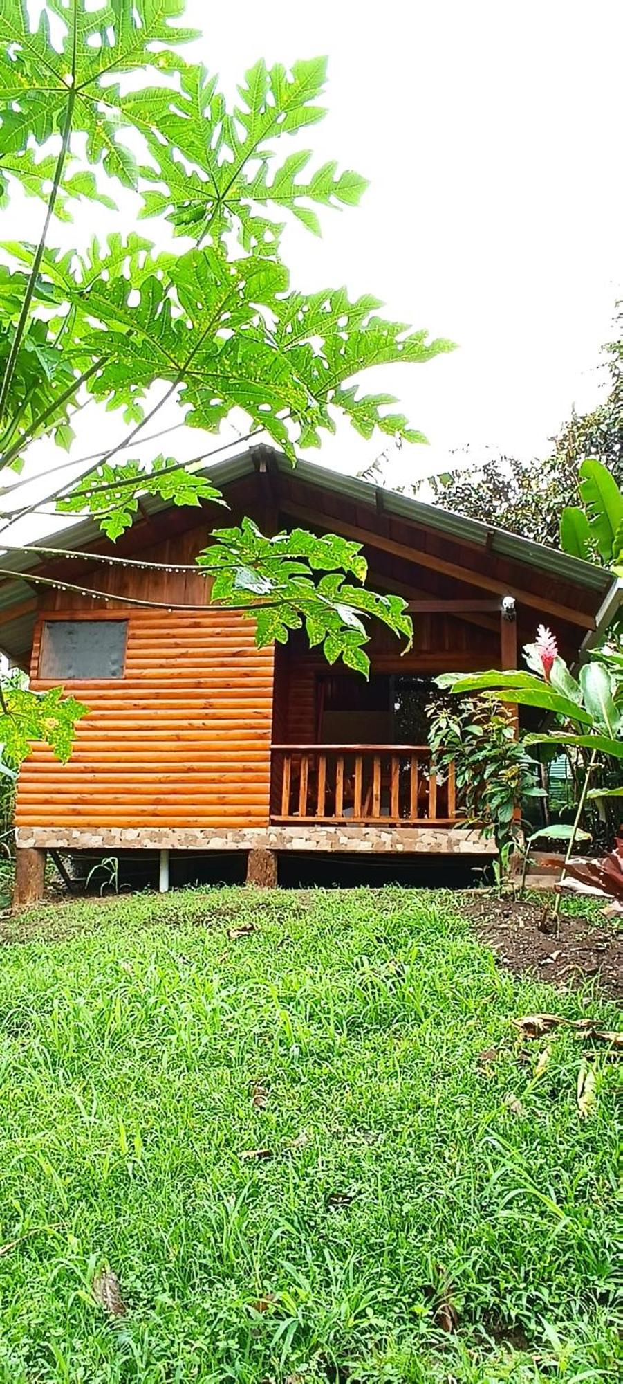 Arenal Rustic Lodge La Fortuna Exteriör bild