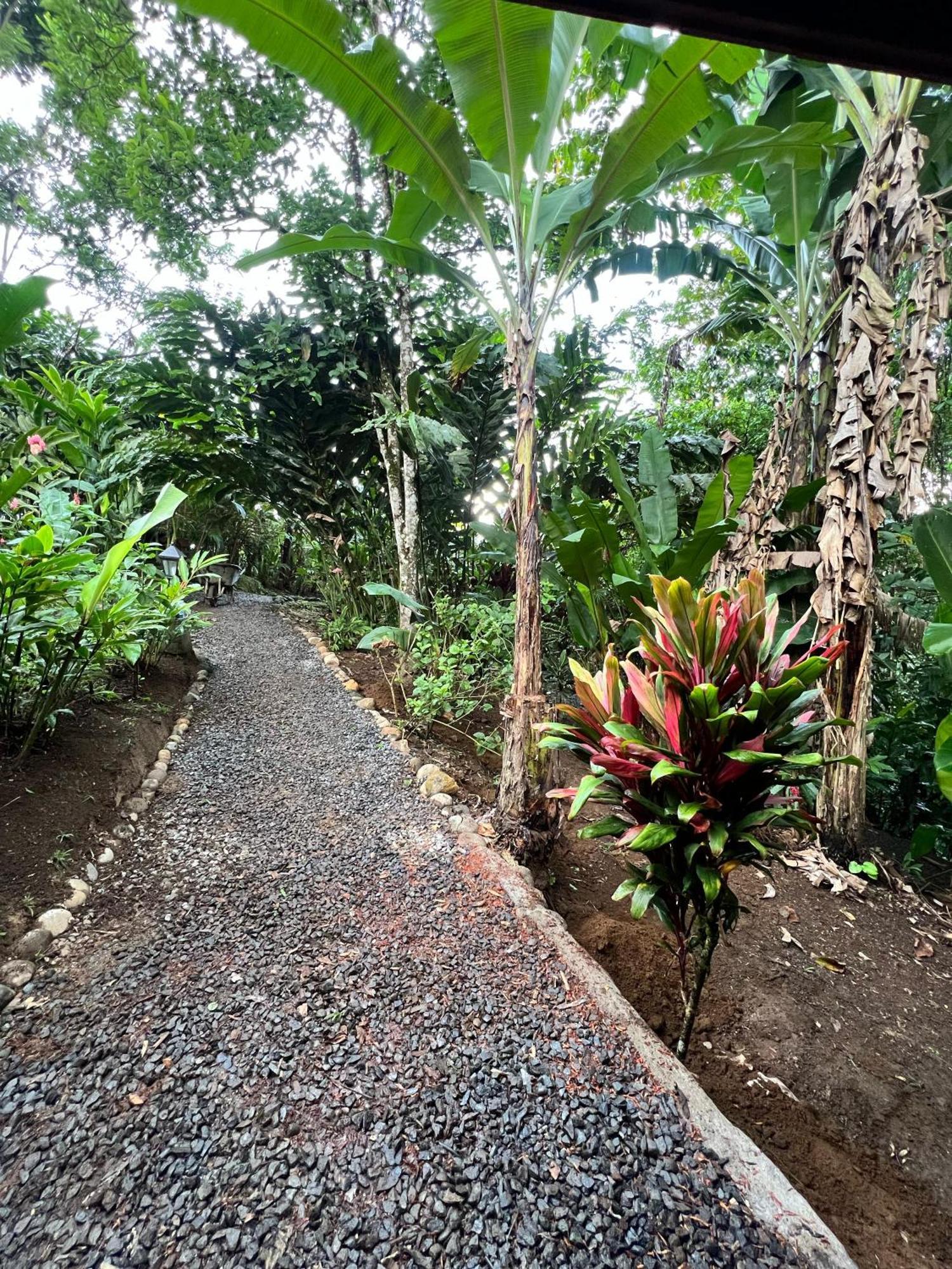 Arenal Rustic Lodge La Fortuna Exteriör bild