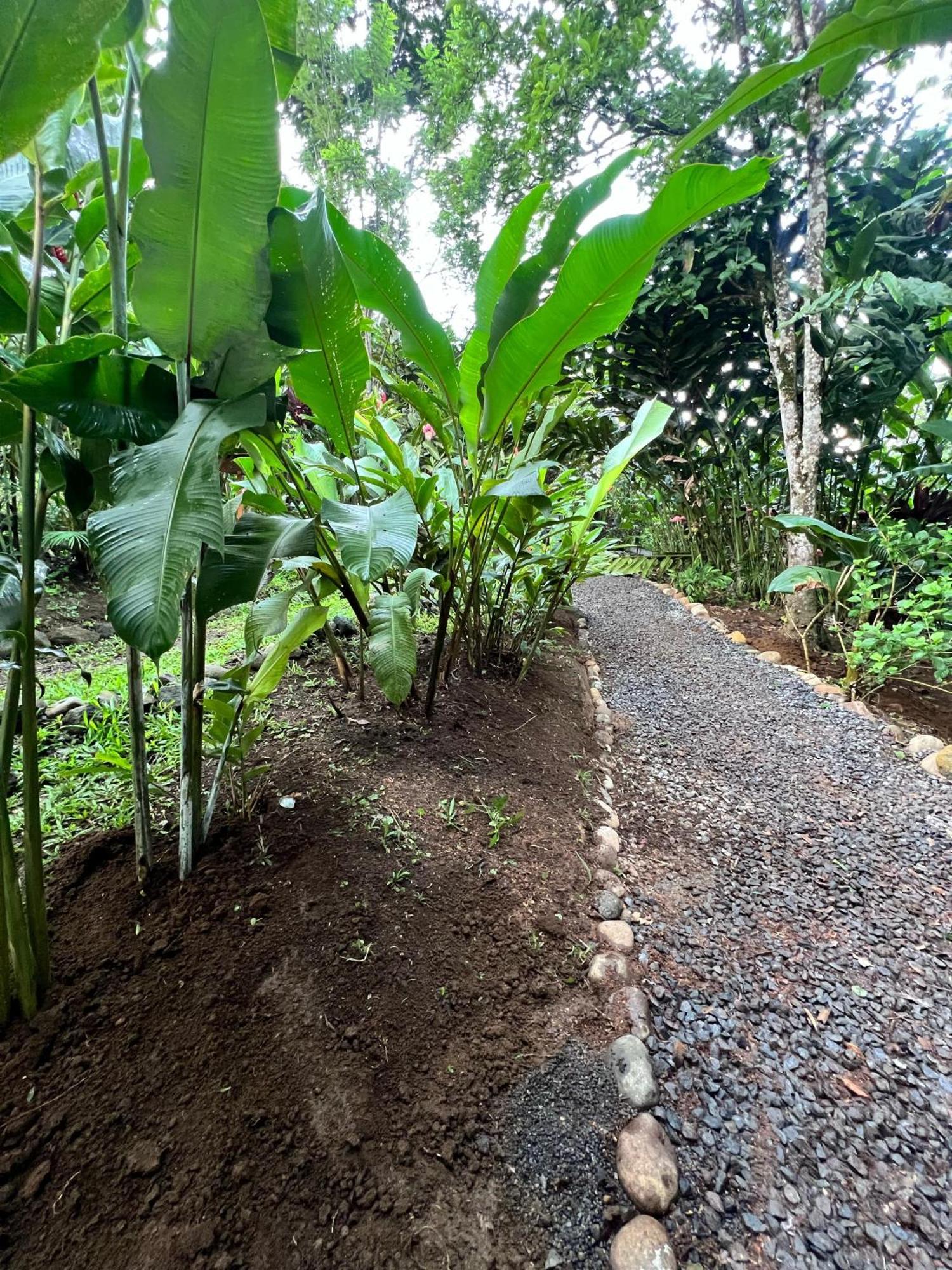 Arenal Rustic Lodge La Fortuna Exteriör bild